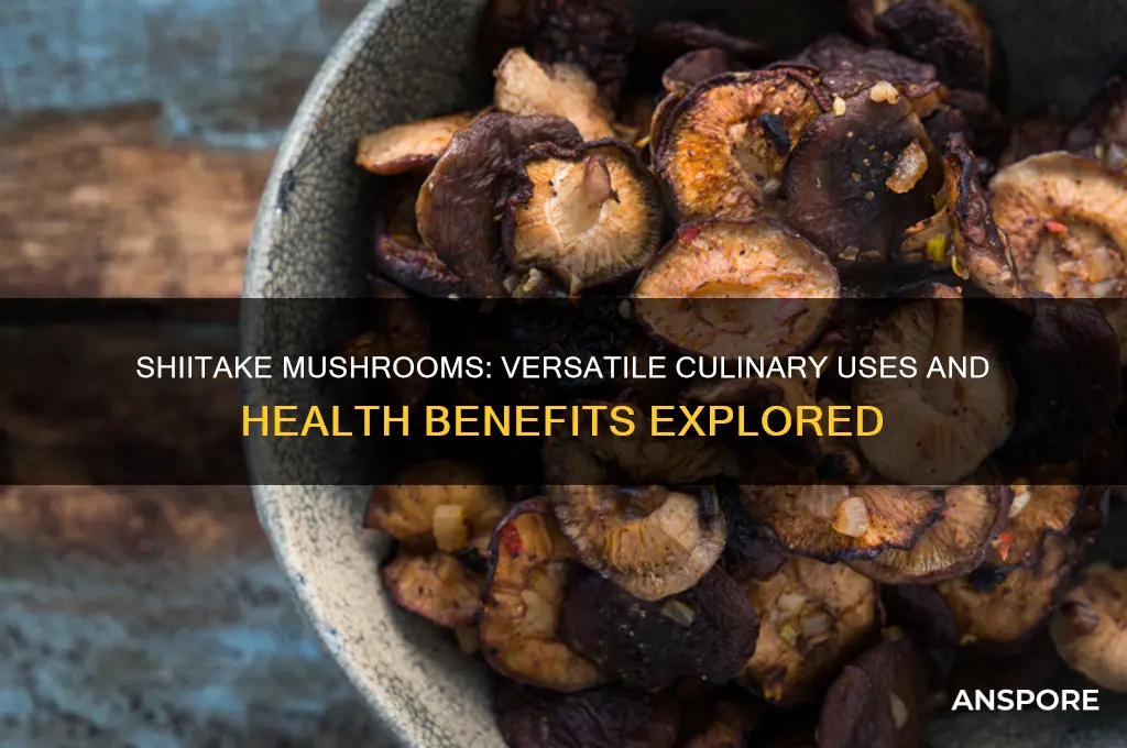 what are shiitake mushrooms good in