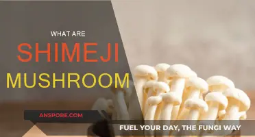 Shimeji Mushrooms: A Tasty and Healthy Treat