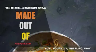 Discover the Surprising Ingredients in Shirataki Mushroom Noodles