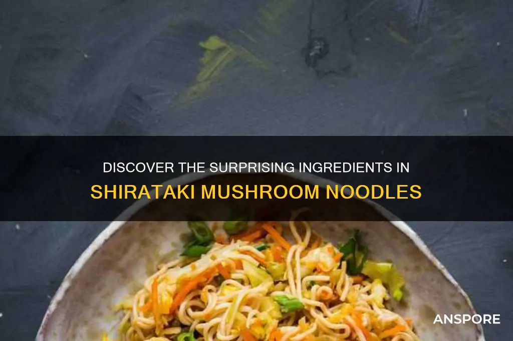what are shirataki mushrooms noodles made out of