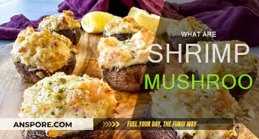 Mushroom Magic: Shrimp Secrets Unveiled