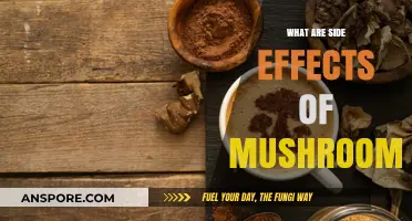 Exploring the Potential Side Effects of Consuming Mushrooms: What to Know