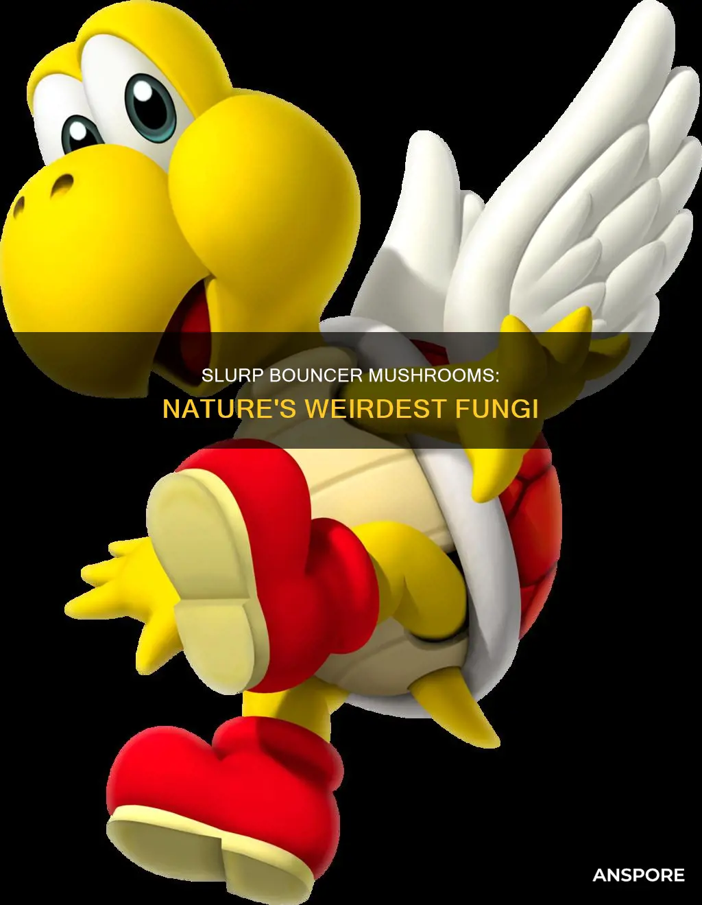 what are slurp bouncer mushrooms