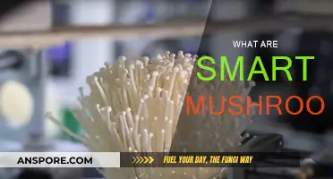 Mushroom Superpowers: Unlocking Smart Fungi Secrets