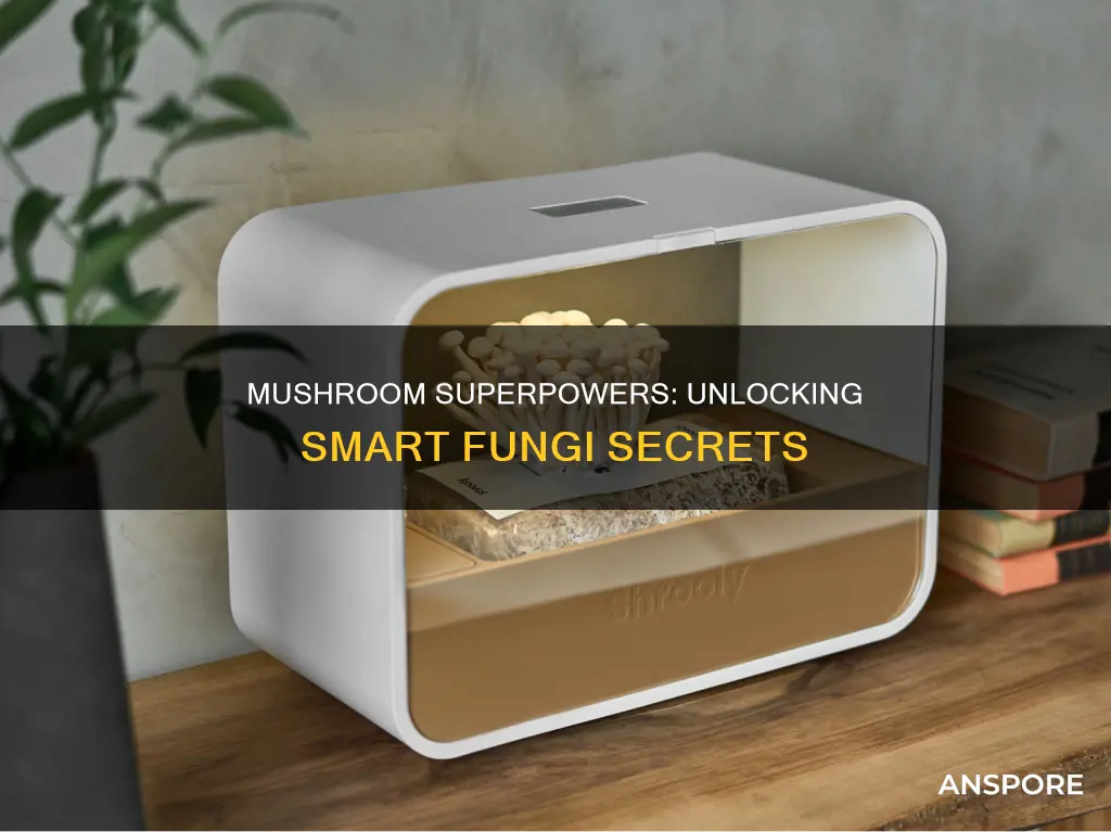 what are smart mushrooms