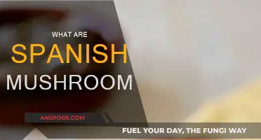 Spanish Mushrooms: A Tasty Treat