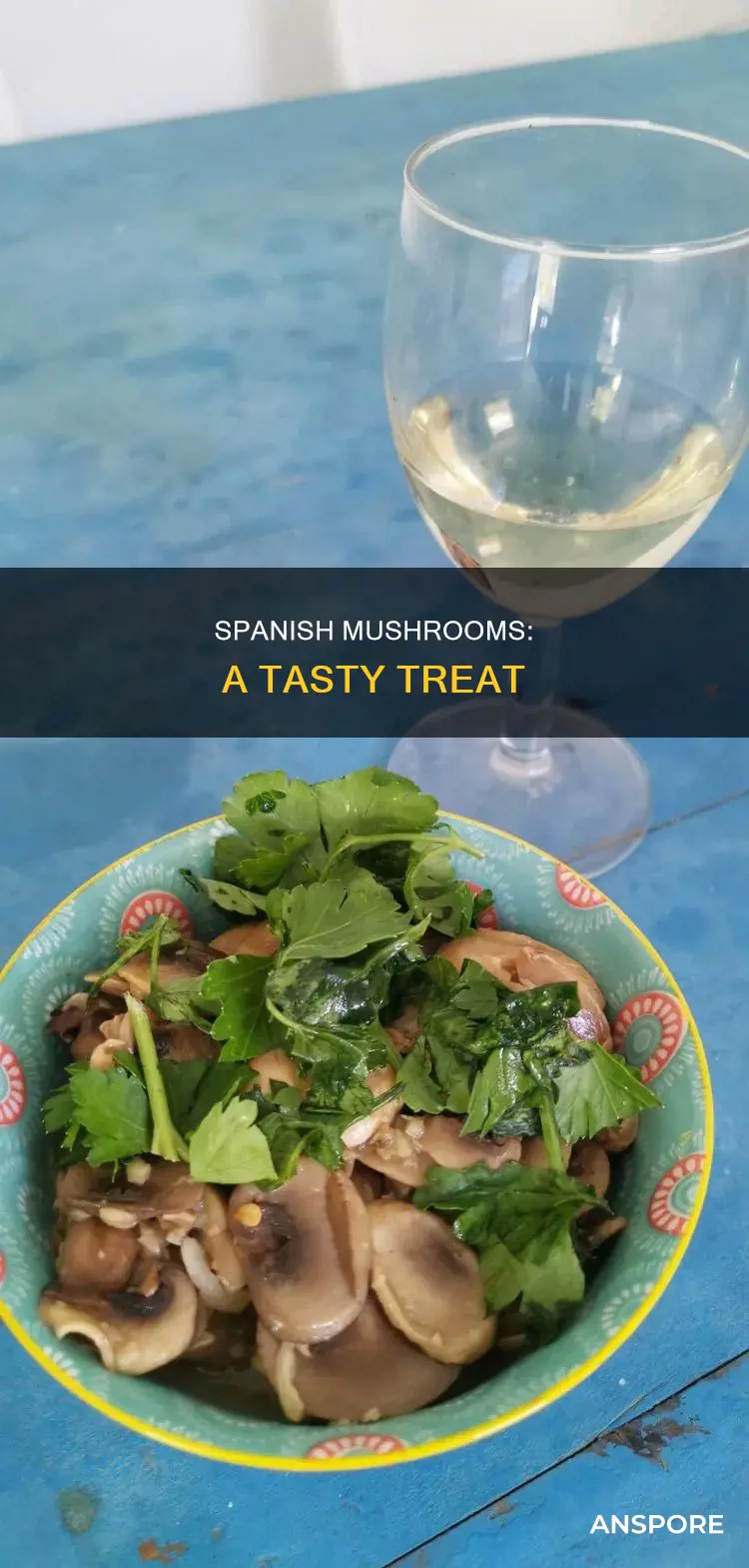 what are spanish mushrooms