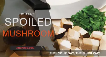 Mushrooms Gone Bad: Identifying Spoiled Fungi
