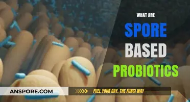 Unlocking Gut Health: Understanding Spore-Based Probiotics and Their Benefits