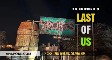 Understanding Spores: The Silent Killers in The Last of Us