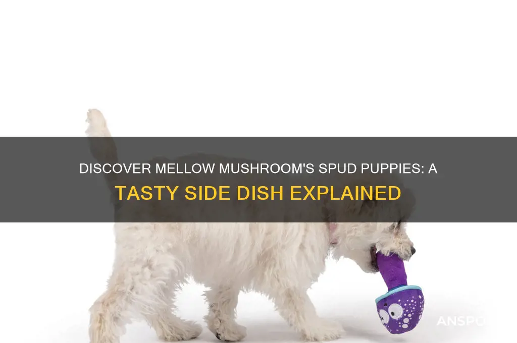 what are spud puppies at mellow mushroom