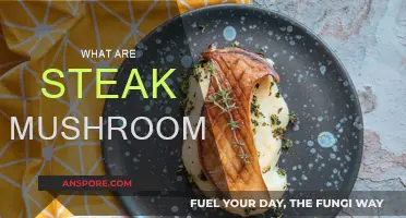 Steak and Mushrooms: A Classic Flavor Combination