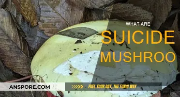Deadly Fungi: Suicide Mushrooms Explained