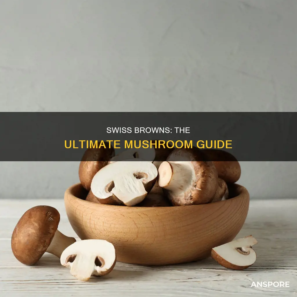 what are swiss brown mushrooms