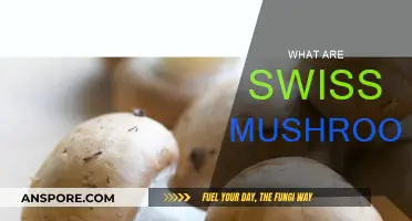 Swiss Mushrooms: A Tasty, Healthy Treat