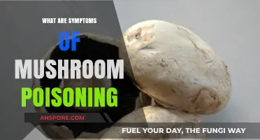 Recognizing Mushroom Poisoning Symptoms: A Guide to Stay Safe