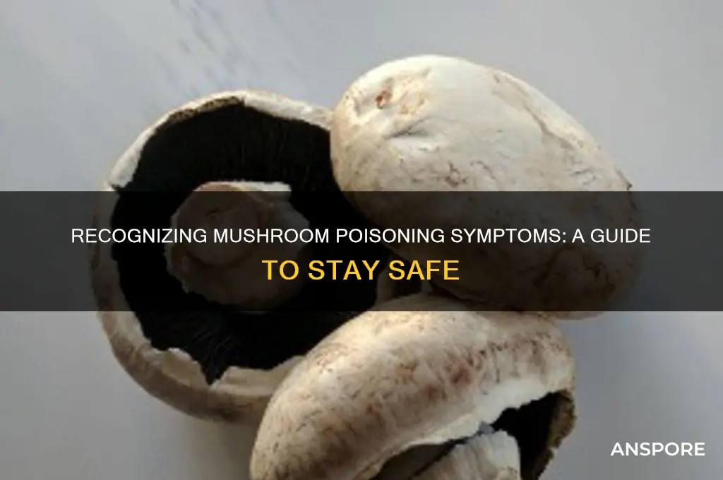 what are symptoms of mushroom poisoning
