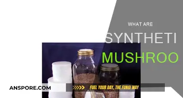 Mushroom Makeover: Synthetic Fungi Explained