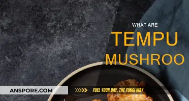 Discovering Tempura Mushrooms: A Tasty Treat