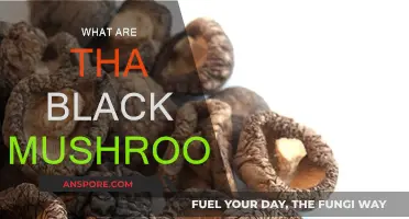 Black Mushrooms: What Are They?