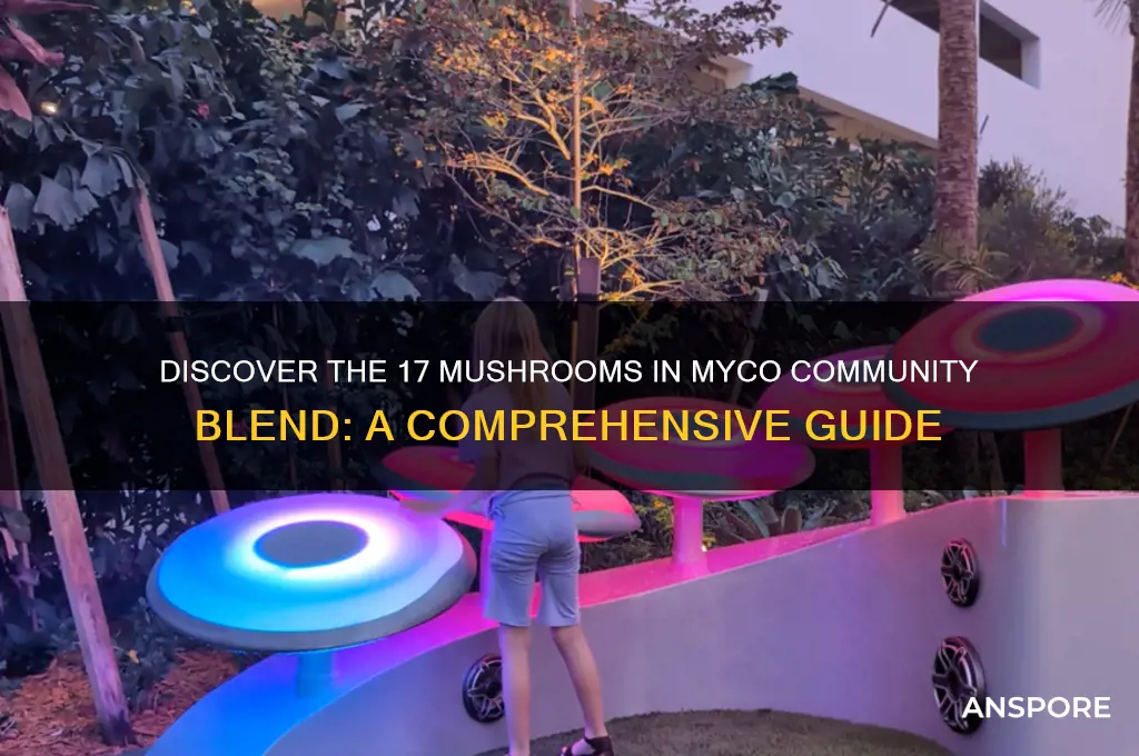 what are the 17 mushrooms in myco community blend