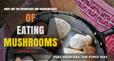 Mushrooms: Exploring the Pros and Cons of Adding Them to Your Diet