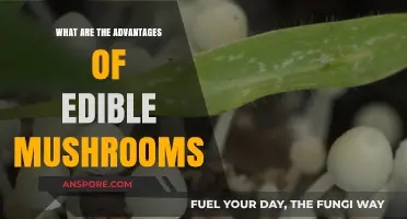 Discover the Surprising Health Benefits of Edible Mushrooms