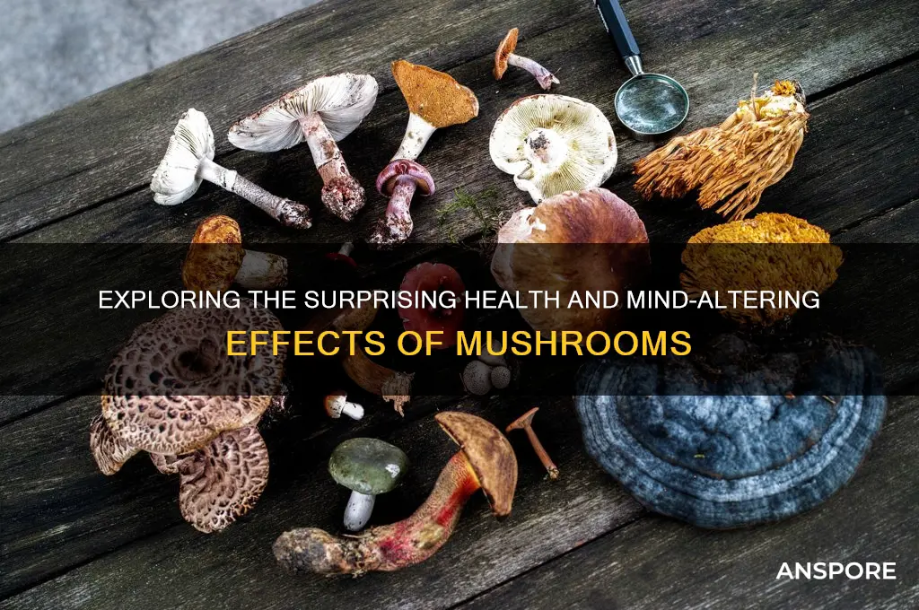 what are the affects of mushrooms