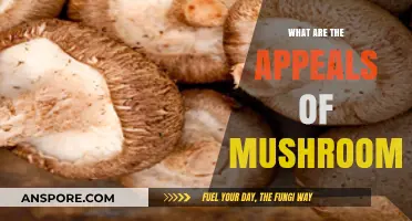 Unveiling the Fascinating Culinary and Health Appeals of Mushrooms