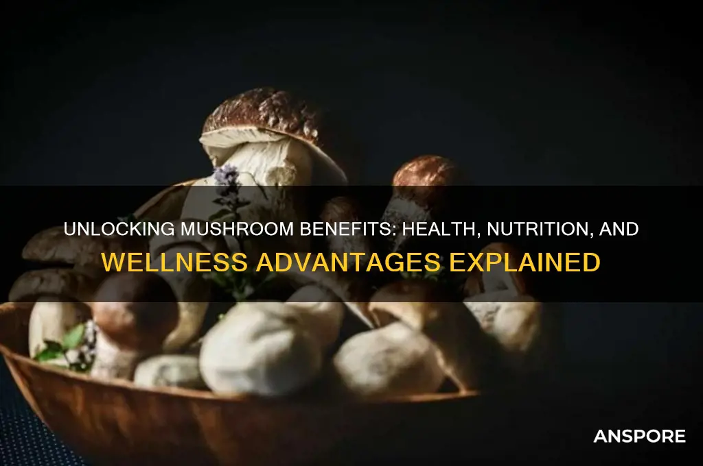 what are the benefit of mushroom
