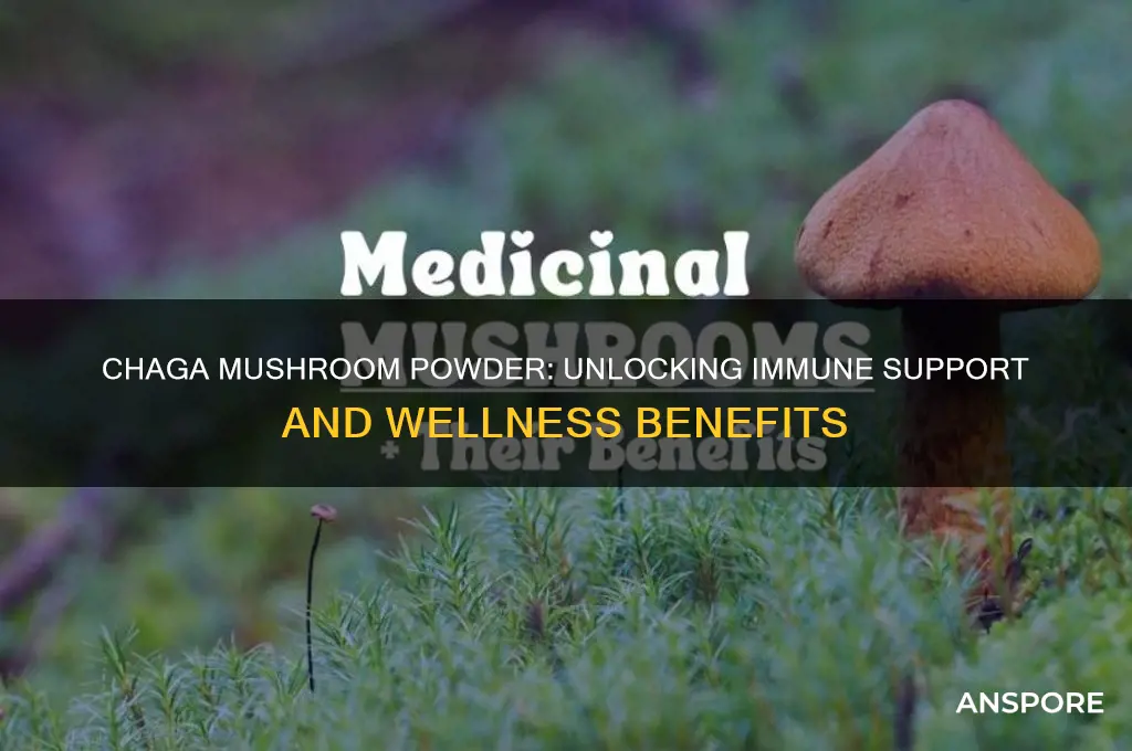 what are the benefits of chaga mushroom powder