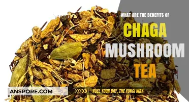 Chaga Mushroom Tea: Unlocking Powerful Health Benefits and Wellness