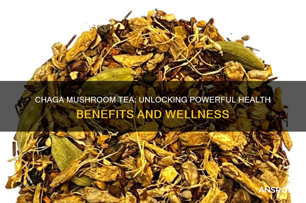 what are the benefits of chaga mushroom tea