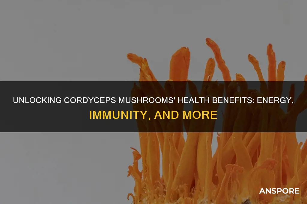what are the benefits of cordyceps mushrooms