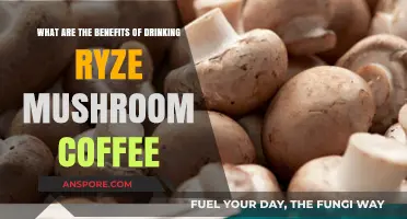 Boost Energy, Focus, and Health with Ryze Mushroom Coffee Benefits