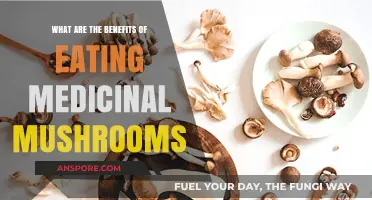 Medicinal Mushrooms: Unlocking Health Benefits and Wellness Secrets