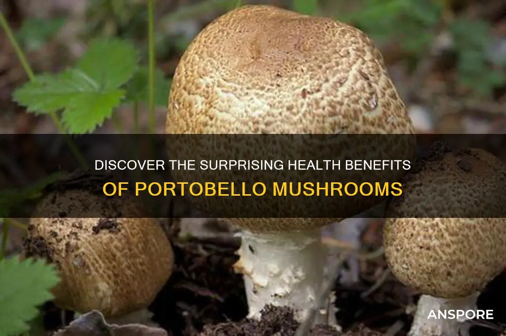 what are the benefits of eating portobello mushrooms