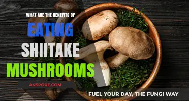 Discover the Health Benefits of Eating Shiitake Mushrooms
