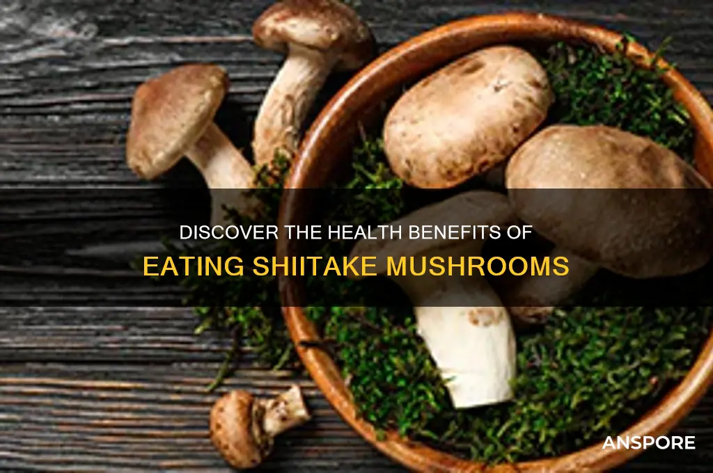 what are the benefits of eating shiitake mushrooms