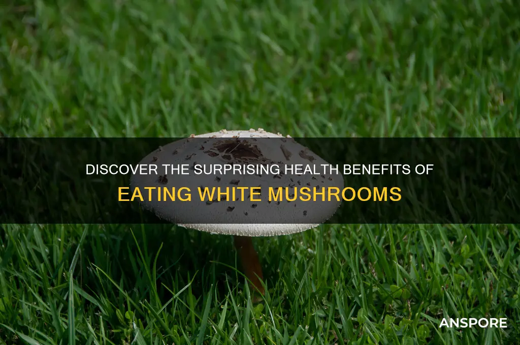 what are the benefits of eating white mushrooms