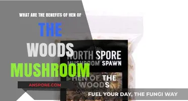 Discover the Health Benefits of Hen of the Woods Mushroom