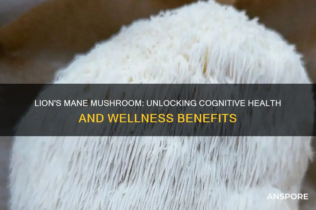 what are the benefits of lion