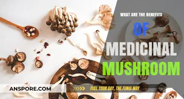 Medicinal Mushrooms: Unlocking Nature's Healing Powers and Health Benefits