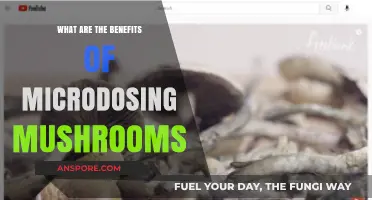 Microdosing Mushrooms: Unlocking Enhanced Focus, Mood, and Creativity Benefits