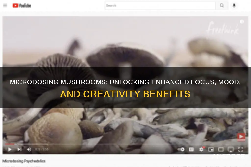 what are the benefits of microdosing mushrooms
