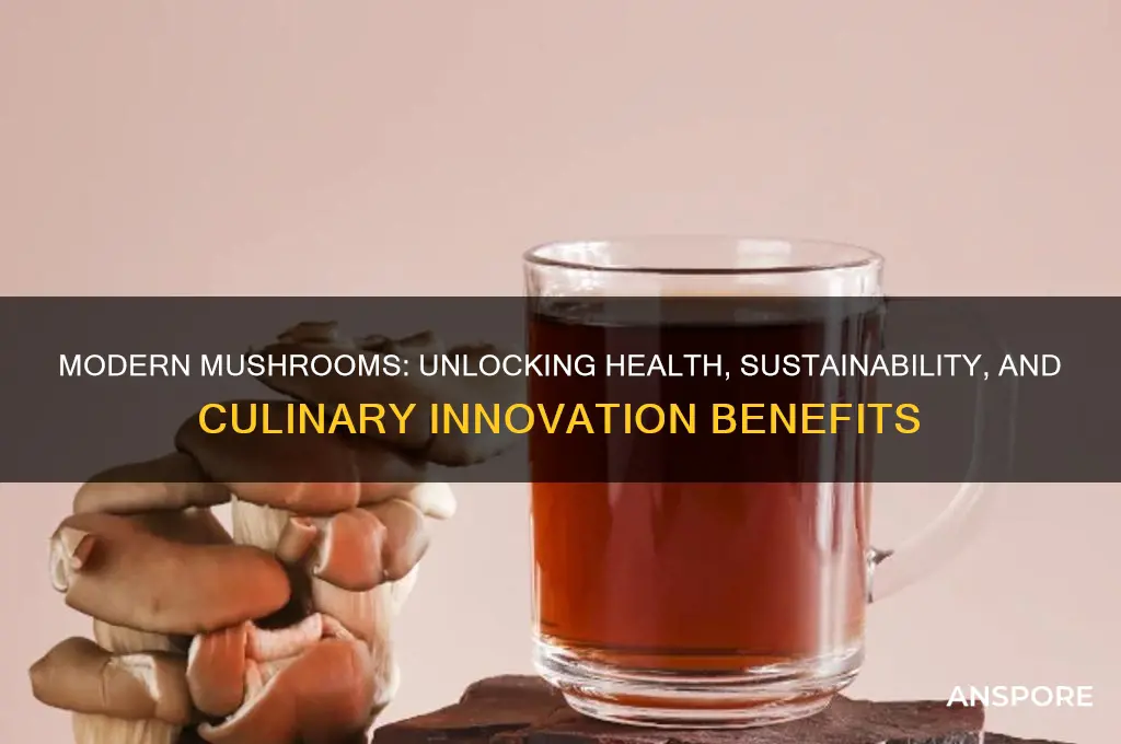 what are the benefits of modern mushrooms