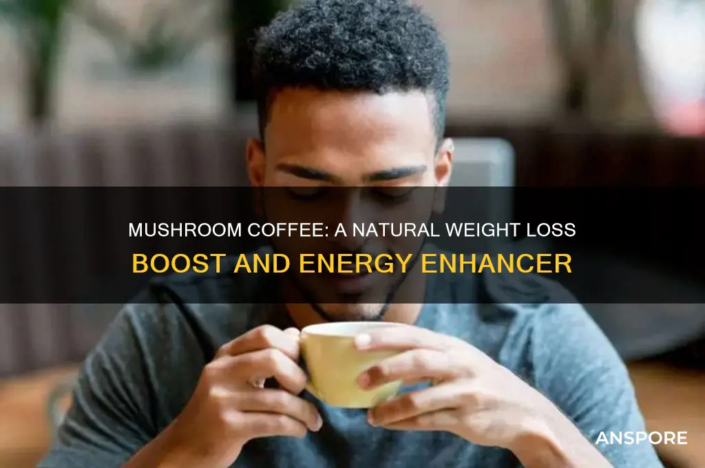 what are the benefits of mushroom coffee for weight loss