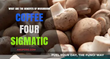 Discover the Surprising Benefits of Mushroom Coffee by Four Sigmatic