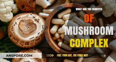 Unlocking Wellness: Surprising Benefits of Mushroom Complex Supplements