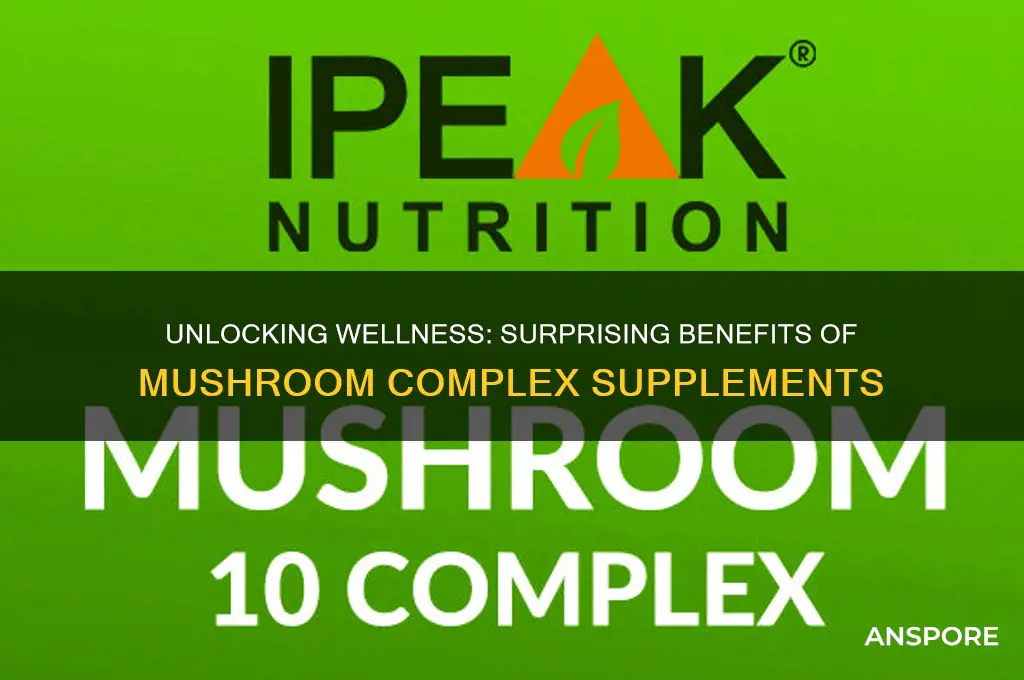 what are the benefits of mushroom complex